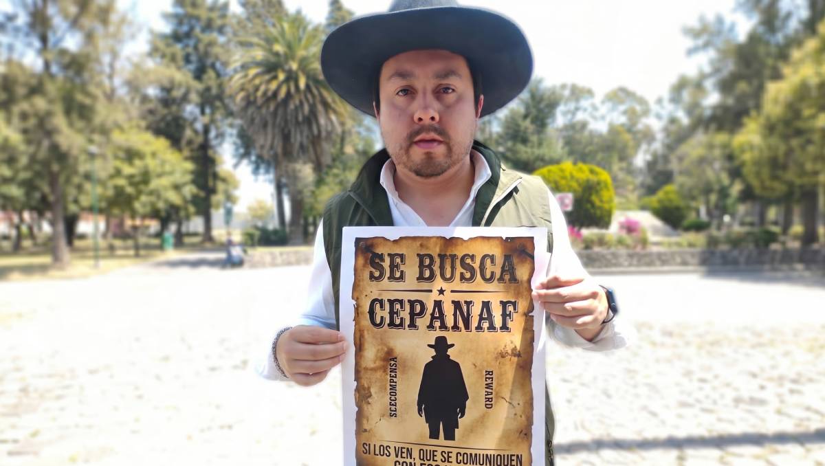 “No son peligrosos”: ambientalistas urgen protección para cacomixtles tras ataques en Toluca