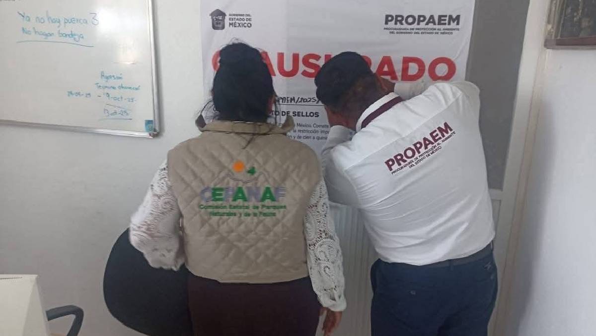 Rosalía Ortiz fue destituida de la Administración Municipal del Medio Ambiente de Tecámac. Foto: (Especial)