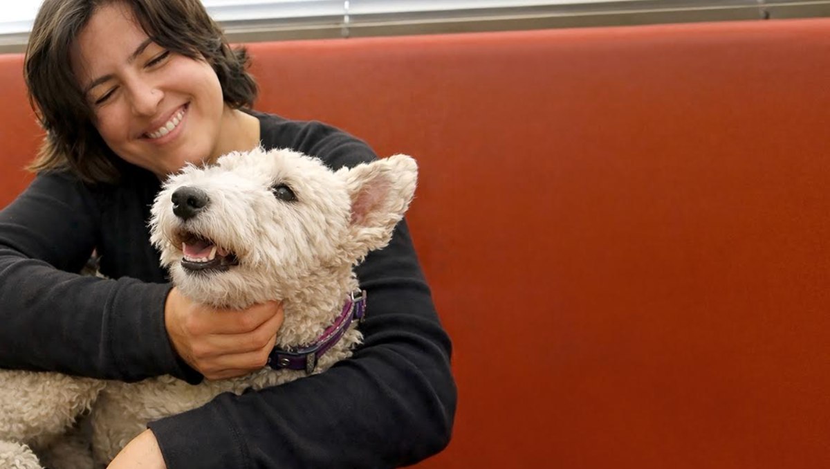 Abril 16 Día Mundial de la Conciencia sobre el Estrés (Shutterstock)