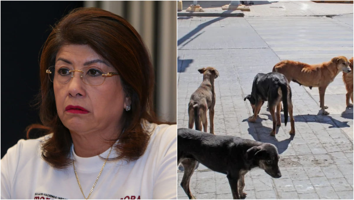 La ex alcaldesa y senadora de Morena aseguró que los hechos se realizaron bajo el marco de la ley. (Cuartoscuro)