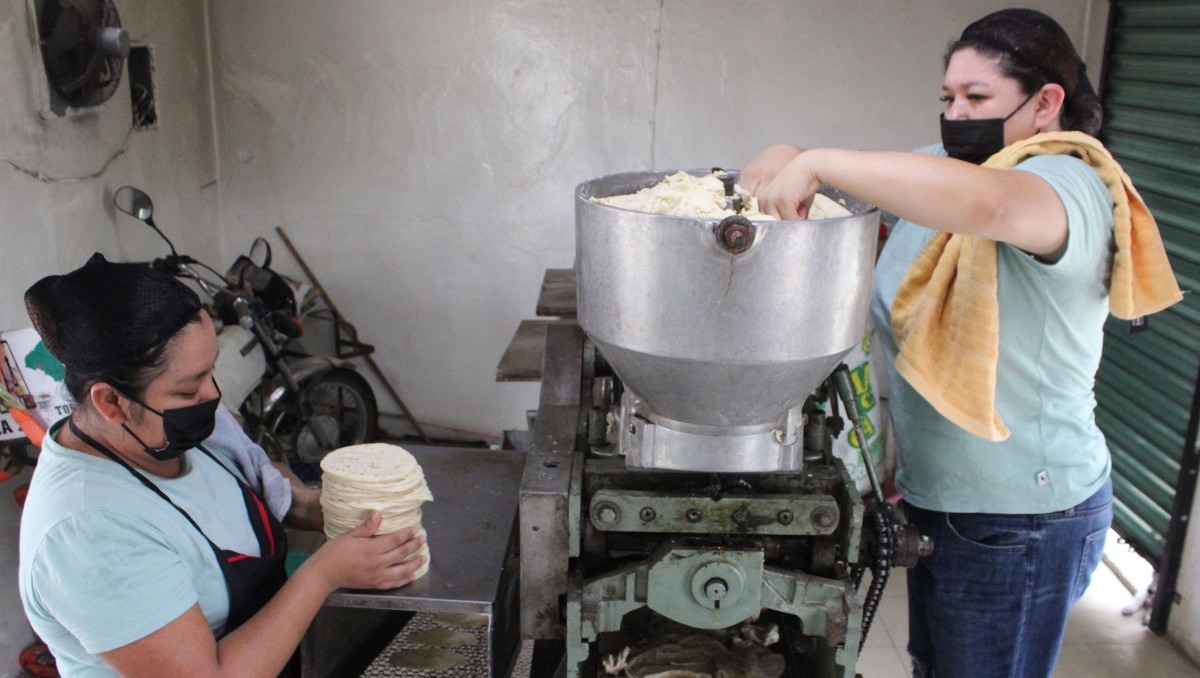 Si no hay orden y acuerdo, subirá precio de tortilla en Tamaulipas: industriales
