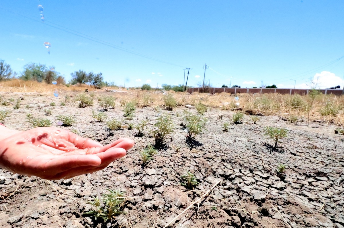 En Coahuila, hay 6 municipios anormalmente secos, 7 con moderada, 6 con sequía severa, 6 con extrema y 3 con sequía excepcional.| Verónica Rivera.