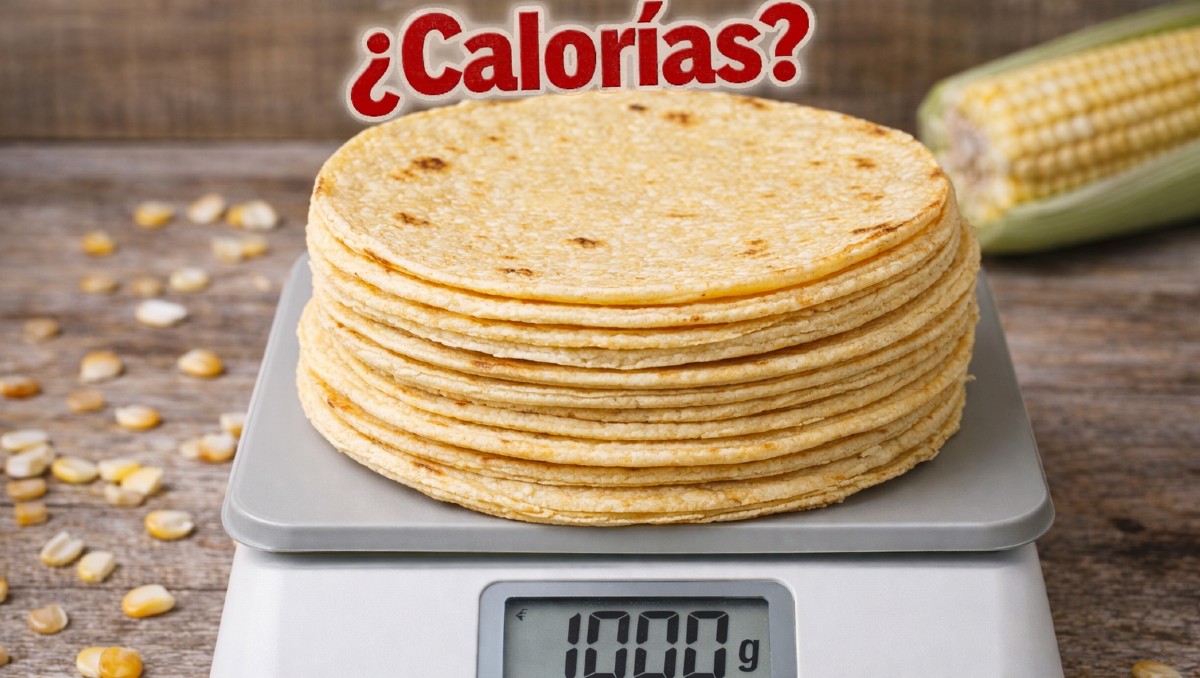 Conoce cuántas calorías consumes con solo una tortilla de maíz | IA DISCOVER