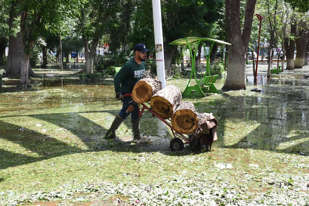 La imprevista tromba registrada el pasado 4 de abril dejó daños en techos, árboles, paneles solares y dejó sin luz 4 días. (Archivo: Roberto Amaya)