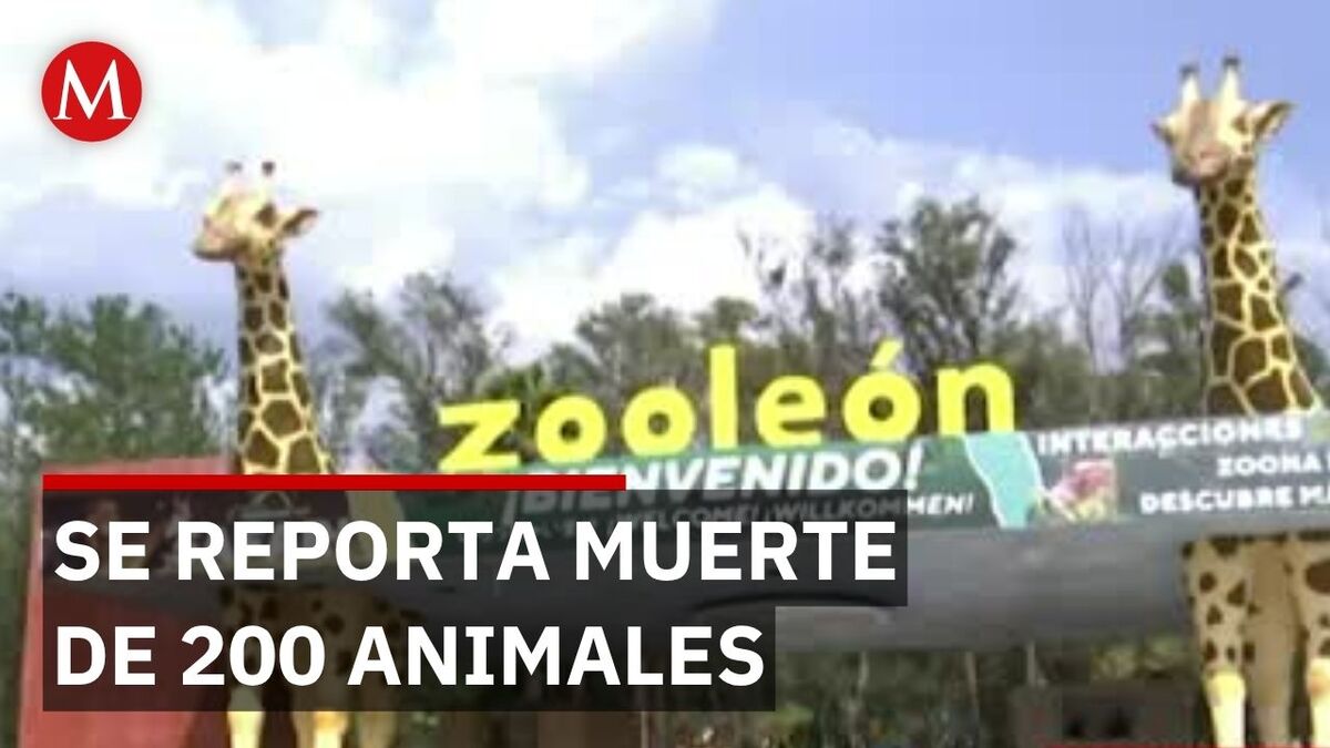 Investigan muerte de 200 animales en Zoológico de León