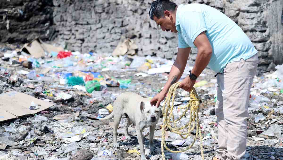 En esta jornada participaron personal de Salud y de Zoonosis de ambos municipios. Foto: Especial