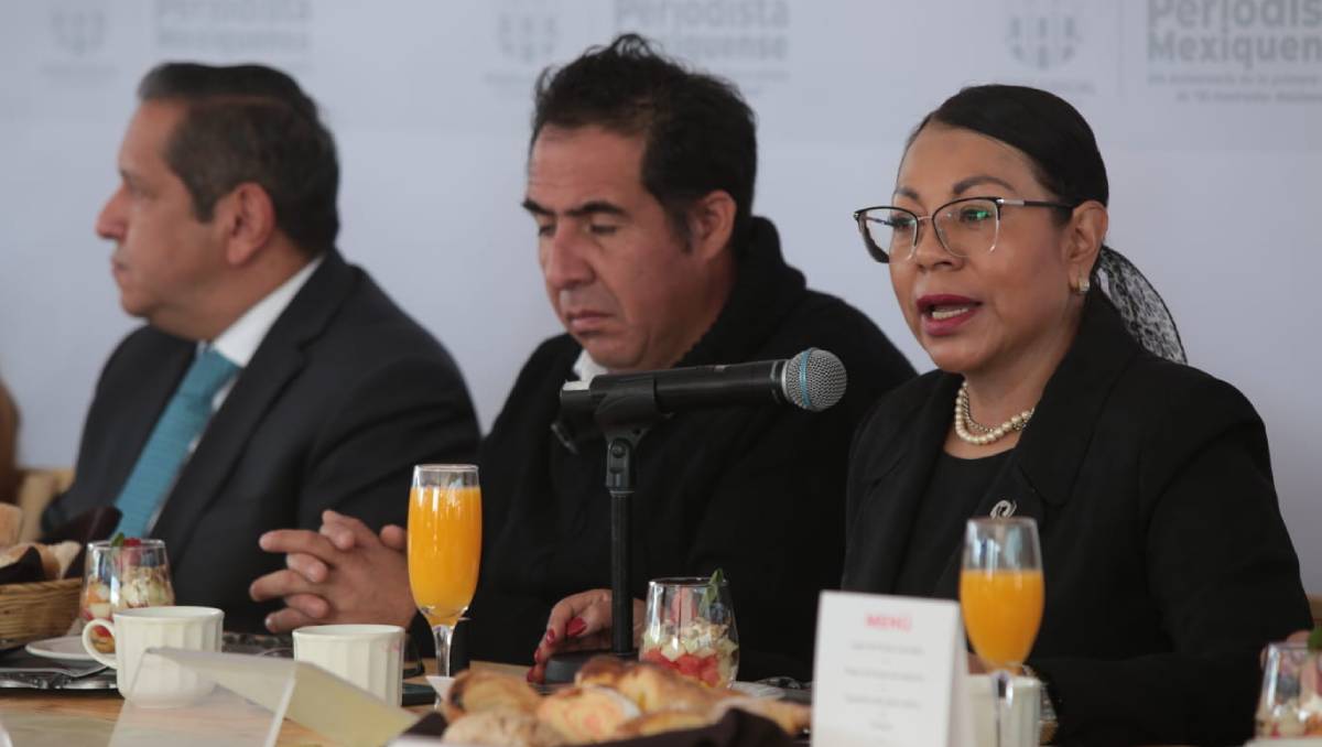 Maricela Reyes Hernández detalló el proceso y los plazos.