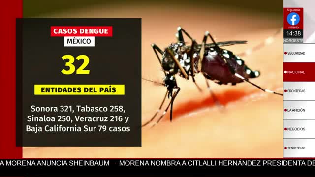 México confirma 1,408 casos de dengue en las 32 entidades del país