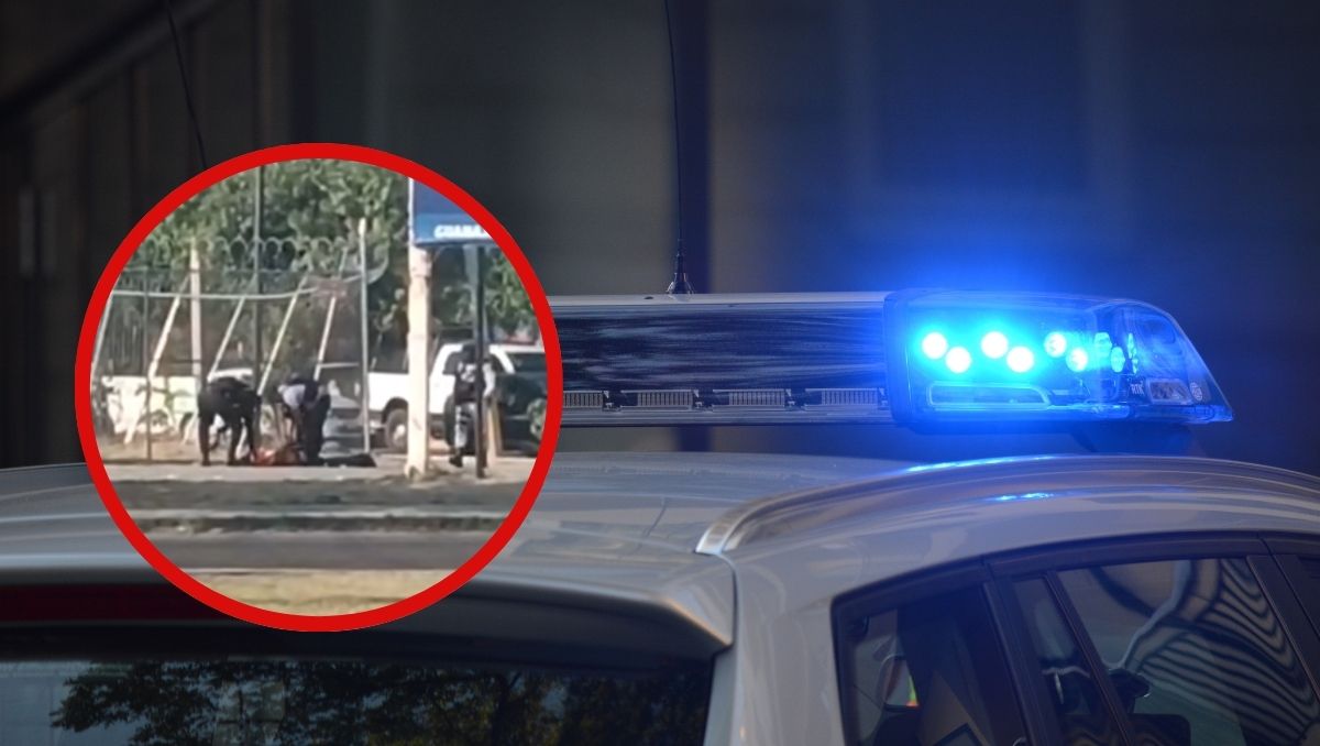 Persecución en Celaya tras robo de auto de plataforma | VIDEO