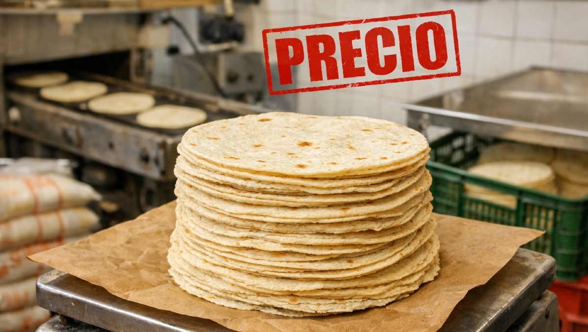 Profeco compartió el precio promedio del kilo de las tortillas hoy 16 de abril | IA Discover