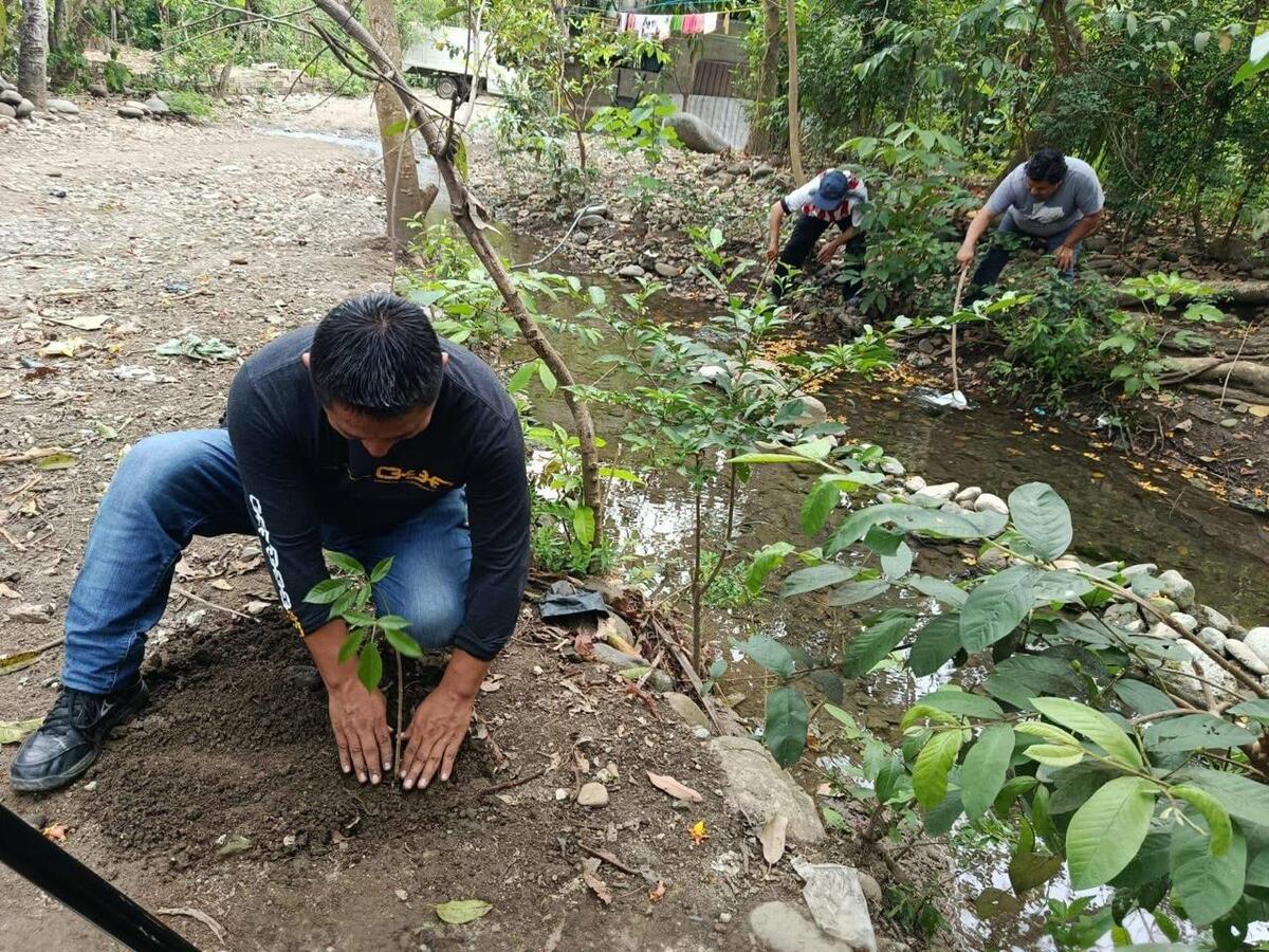 Realizan reforestación en la comunidad de Xiquila para proteger manantiales