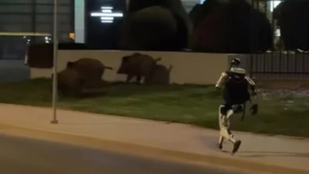 Robot Edward Warchocki causa furor en Polonia como influencer | ESPECIAL