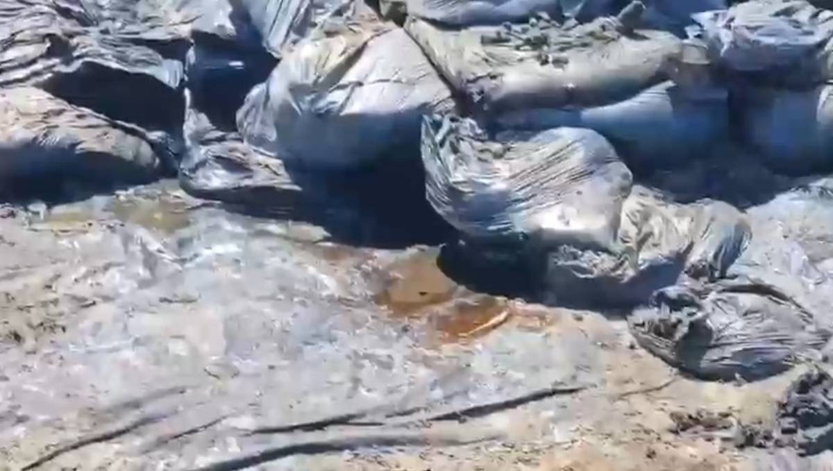 Bolsas de hidrocarburo acumuladas en playa de Pajapan. | Foto: Especial