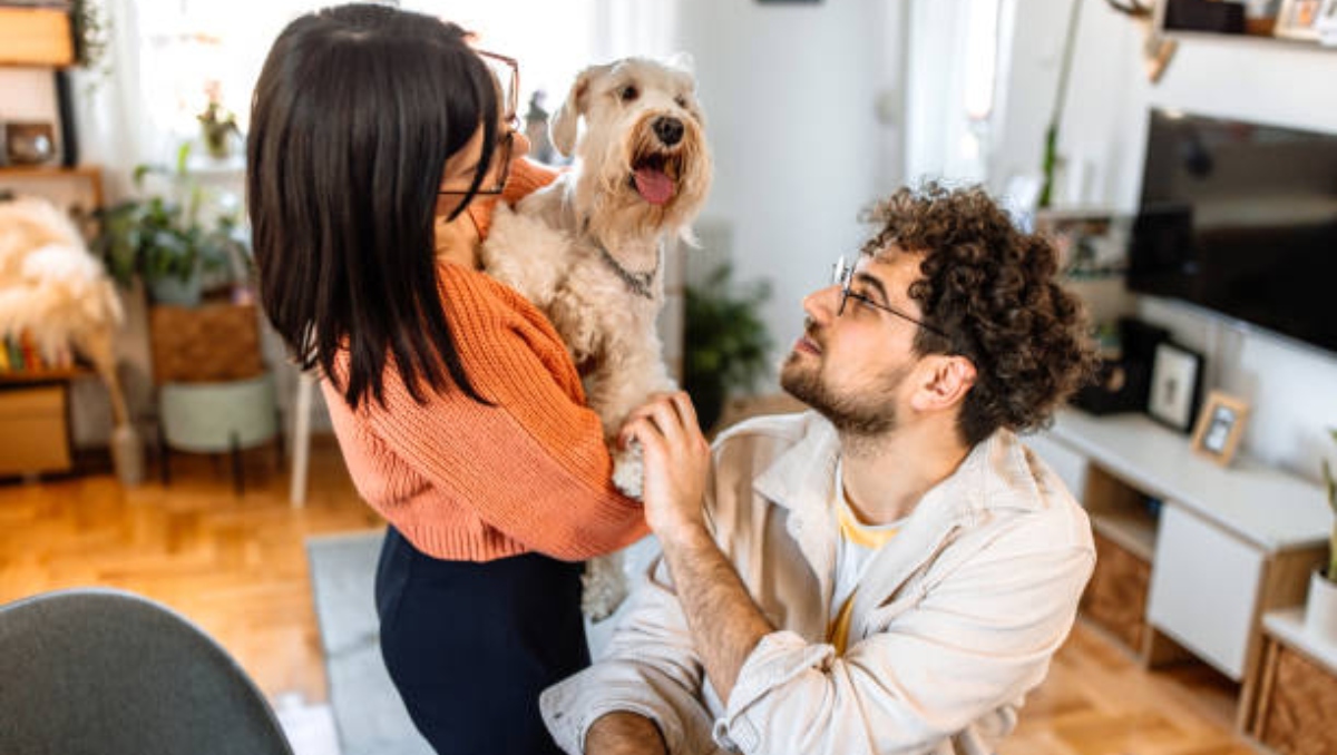 Custodia compartida de mascotas tras divorcio es ley en Brasil |Istockphoto