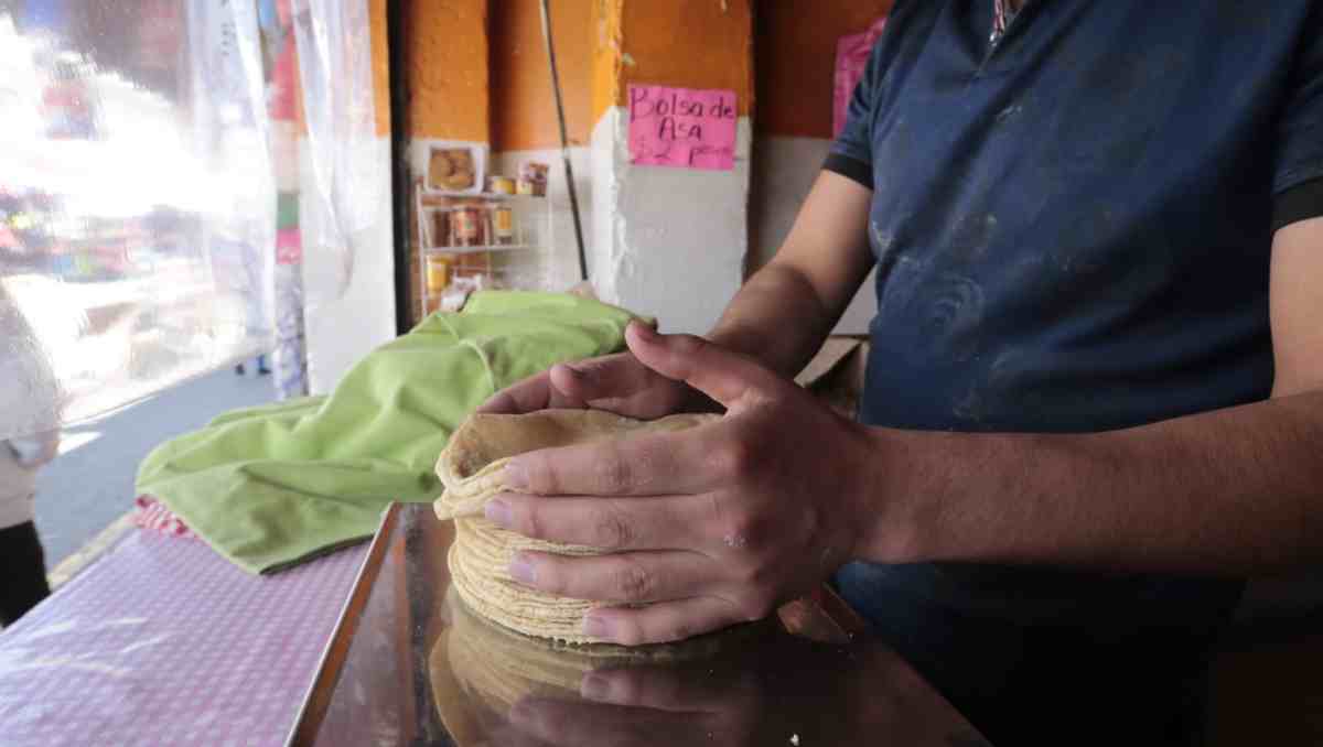 Las hectáreas dedicadas a la siembra también bajaron uno por ciento. Foto: Especial