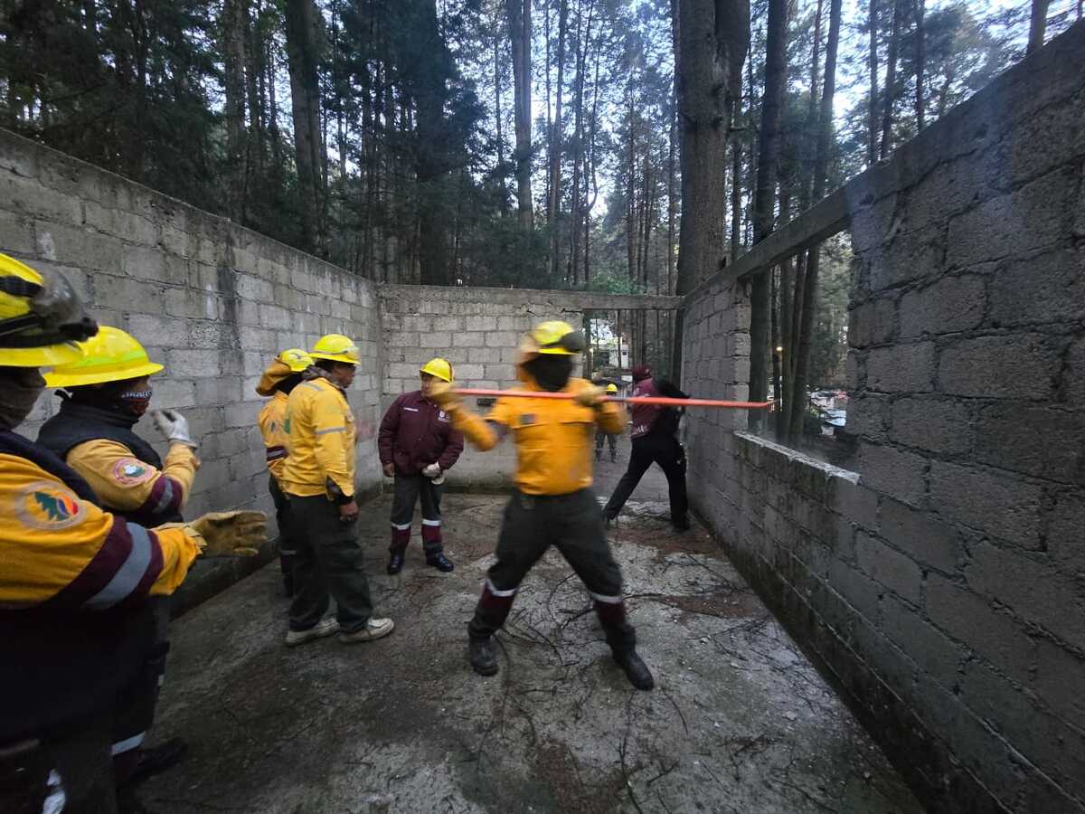 Recuperan y protegen hectáreas para preservar ecosistemas clave. | Especial