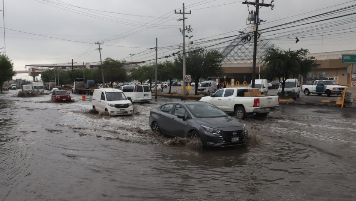 La temperatura mínima rozará los 12 grados | Luis Guerra