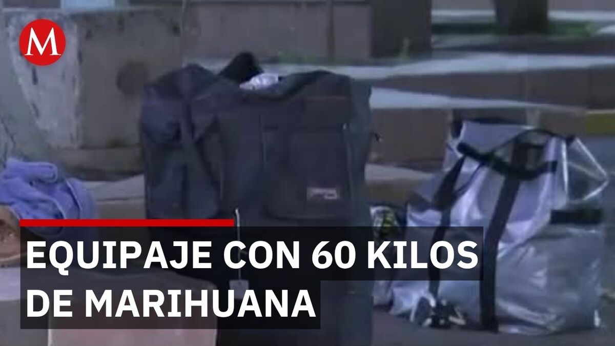 Decomisan 60 kilos de marihuana en terminal de Zapopan, Jalisco