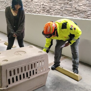 Elementos de Protección Civil lograron resguardarlos y trasladarlos a un lugar seguro.