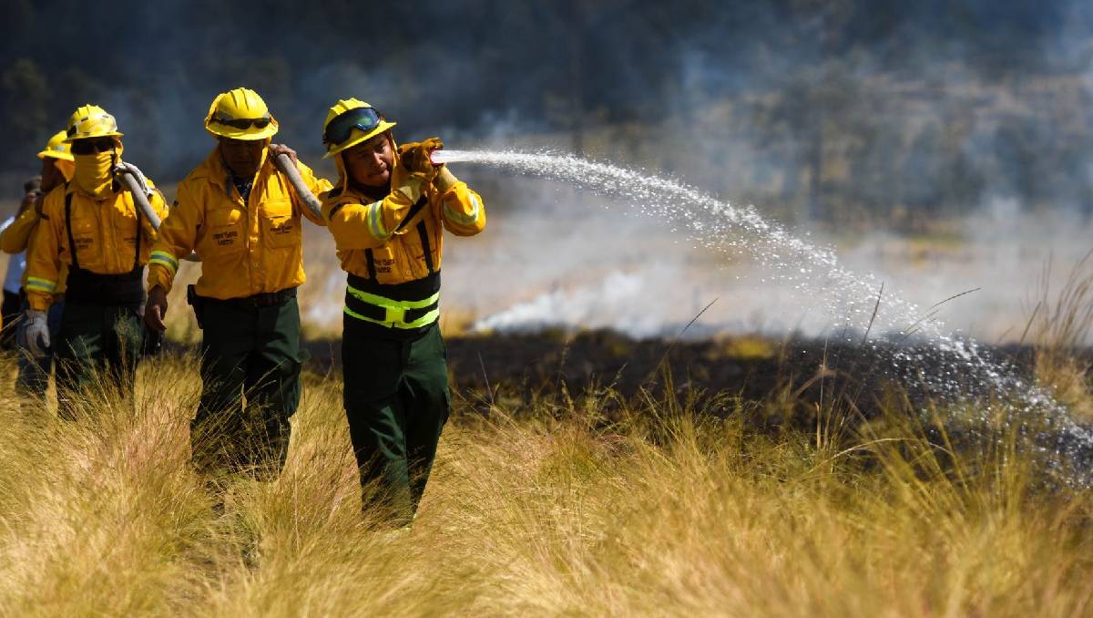 Dos de los incendios se registran en  áreas naturales protegidas (Foto: Imagen ilustrativa, Cuartoscuro)