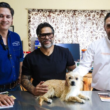 El Gobierno de Nuevo León iniciará esta semana una campaña para prevenir el gusano barrenador en perros y gatos.