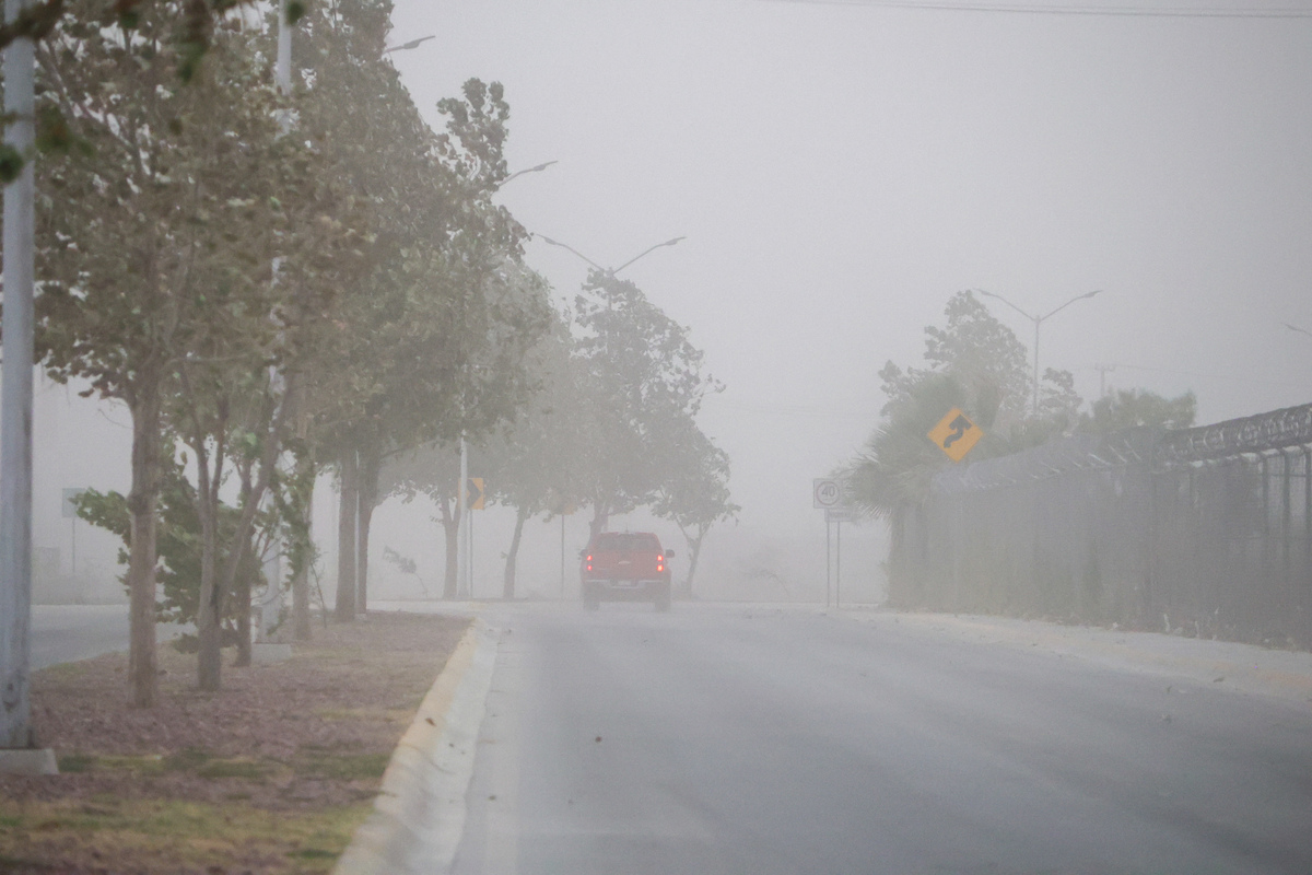 Tolvaneras en La Laguna. | Archivo