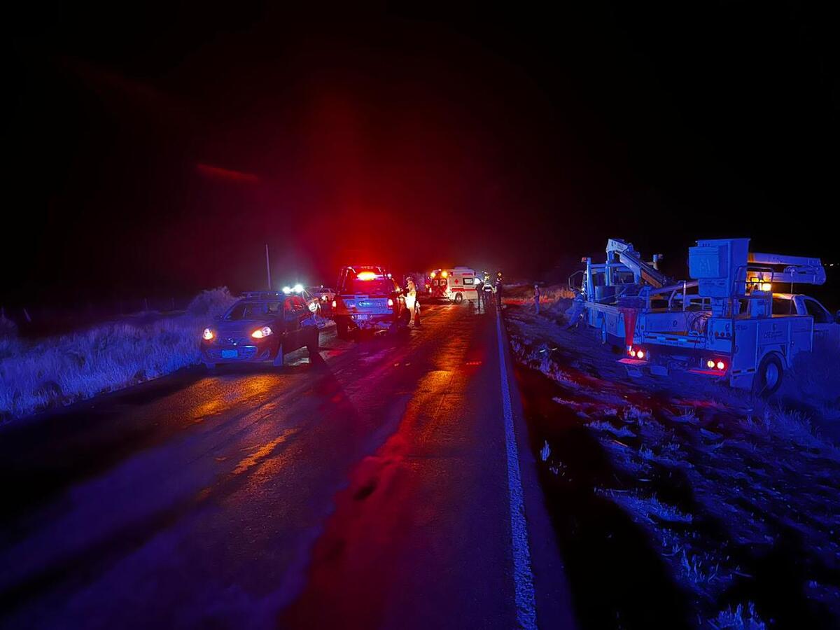 El conductor que iba acompañado de su familia no logró detener la marcha de la camioneta donde viajaban y chocaron contra el caballo. | Especial