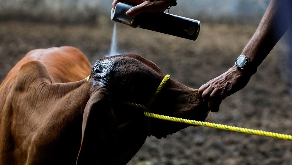 En la entidad suman nueve casos acumulados | Especial