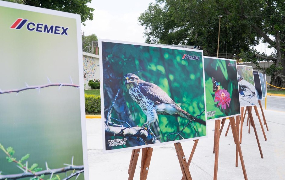 Planta Valles de Cemex, donde la operación se integra responsablemente con un hábitat protegido que alberga a más de 200 especies. | Especial