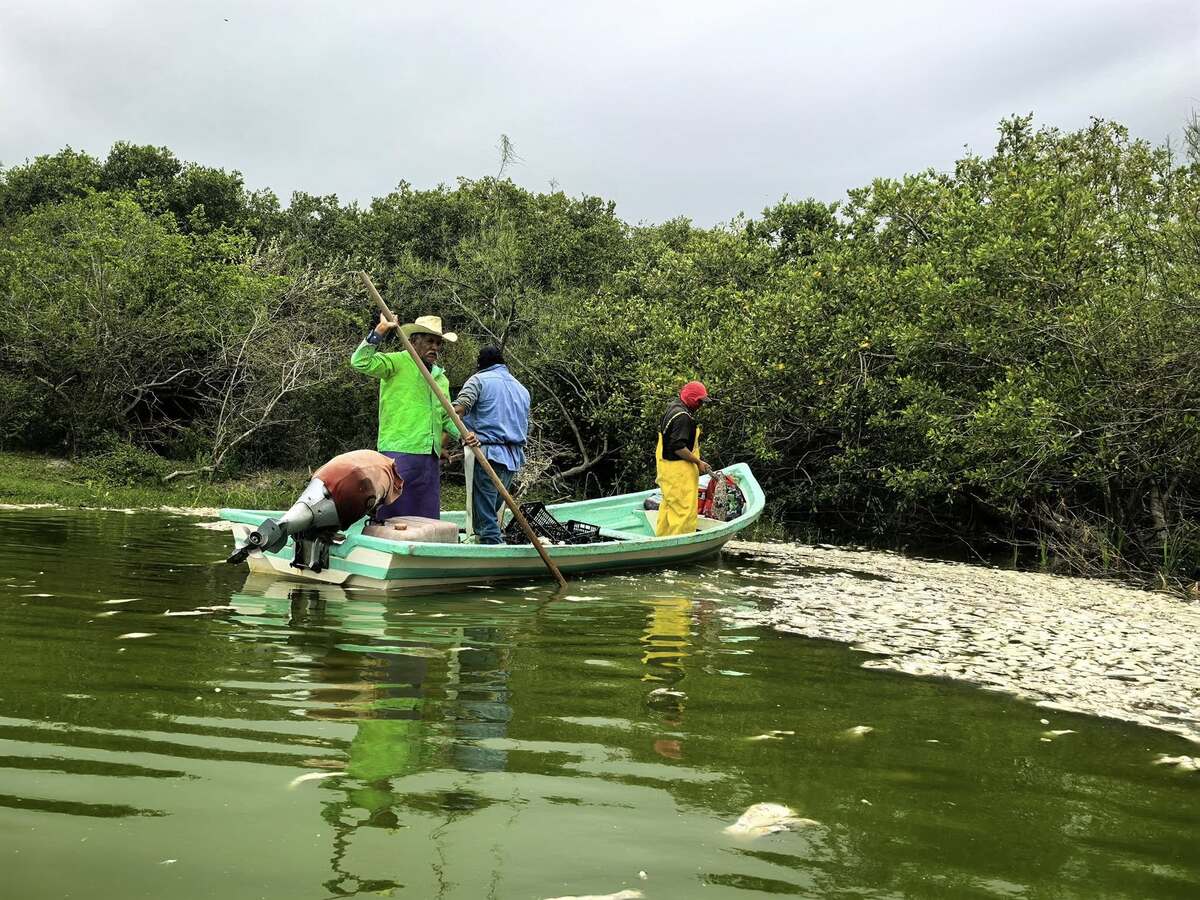 Esto provocó la crisis en la Laguna de La Costa entre Tamaulipas y Veracruz