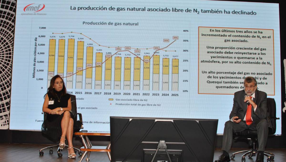 Francisco Barnés de Castro, presidente del Observatorio Ciudadano de Energía. | Foto: Especial