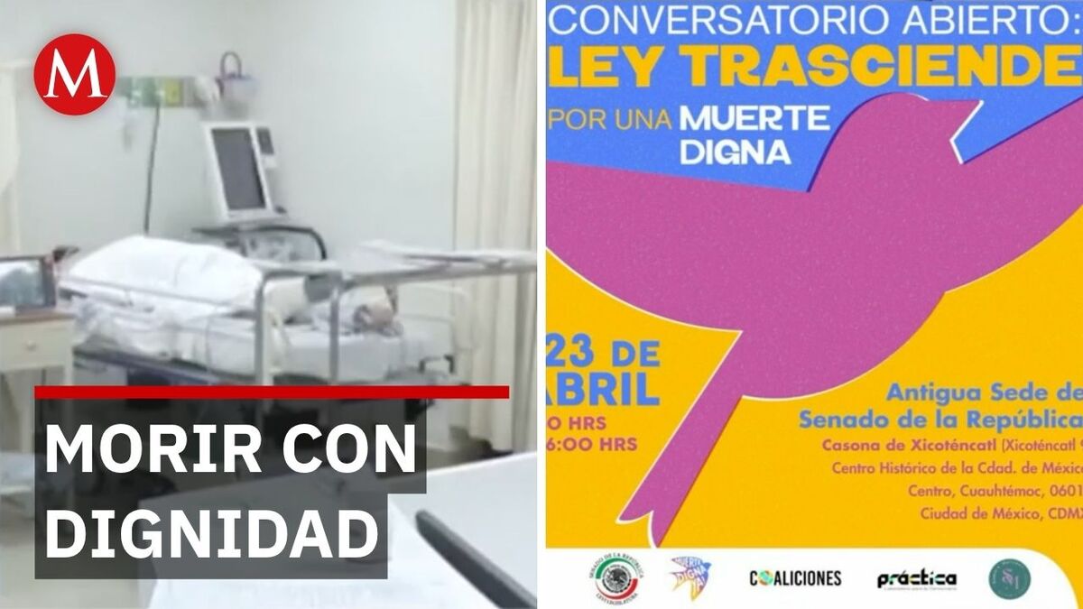 Histórico conversatorio en el Senado sobre la despenalización de la eutanasia