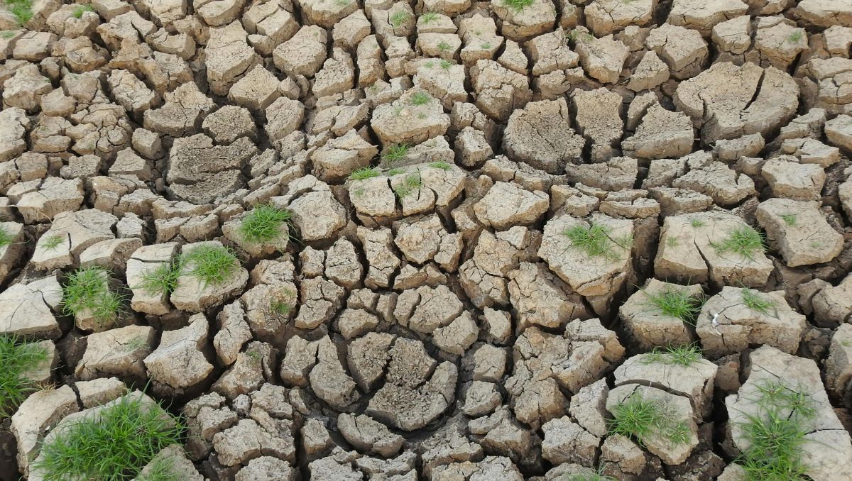 León enfrenta pérdida de áreas naturales y estrés hídrico: FURA
