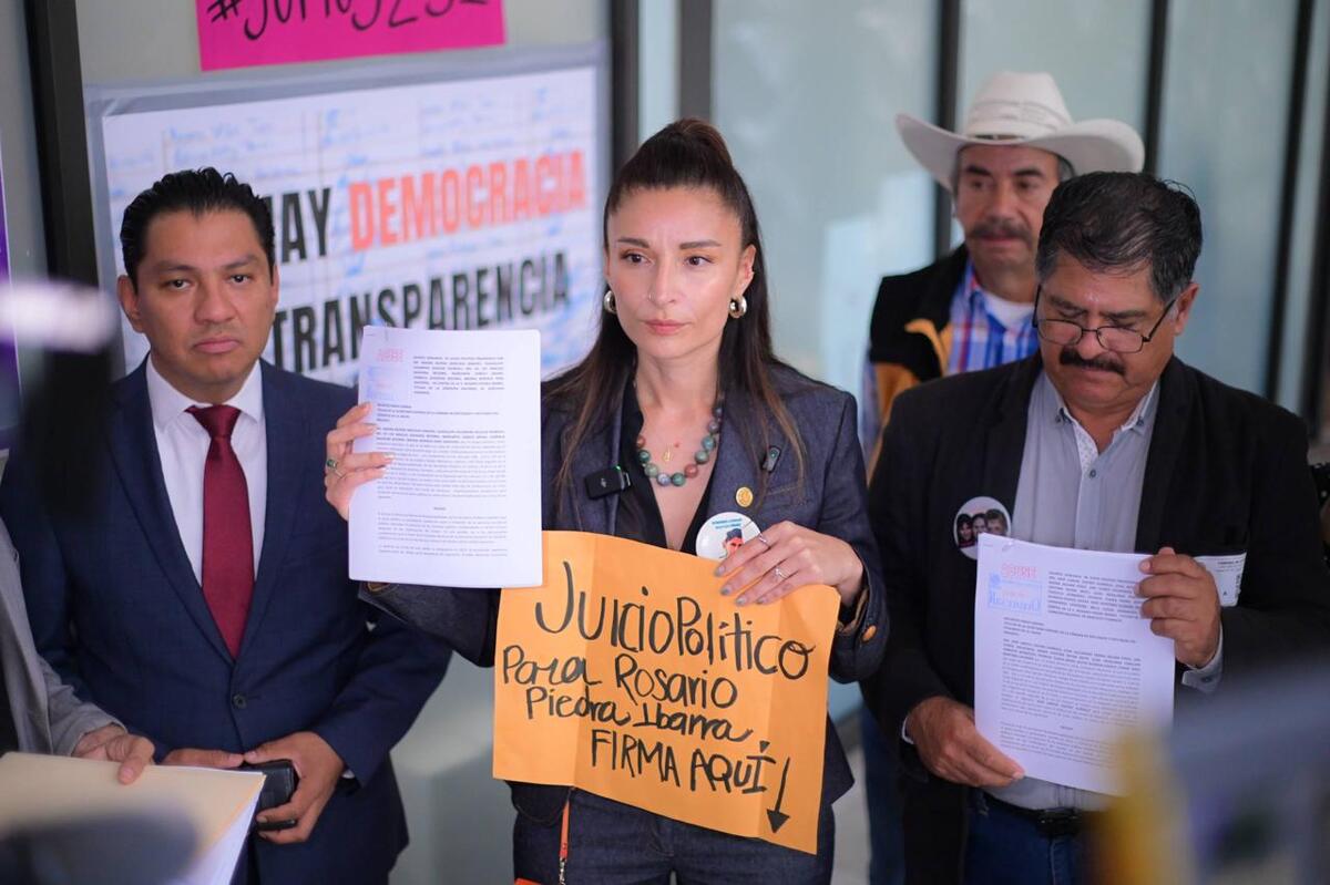 Los activistas hicieron entrega de sus denuncias ante la Secretaría General de la Cámara de Diputados. | Foto: Especial