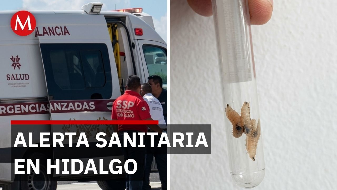 Alerta máxima en Hidalgo por el primer contagio humano de gusano barrenador