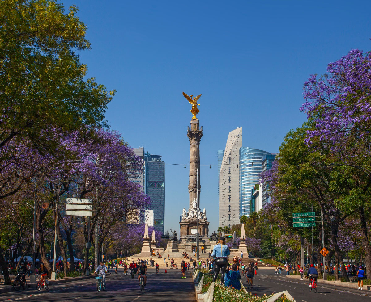 CDMX forma parte de las sedes previas y fuertes para el evento. Shutterstock.