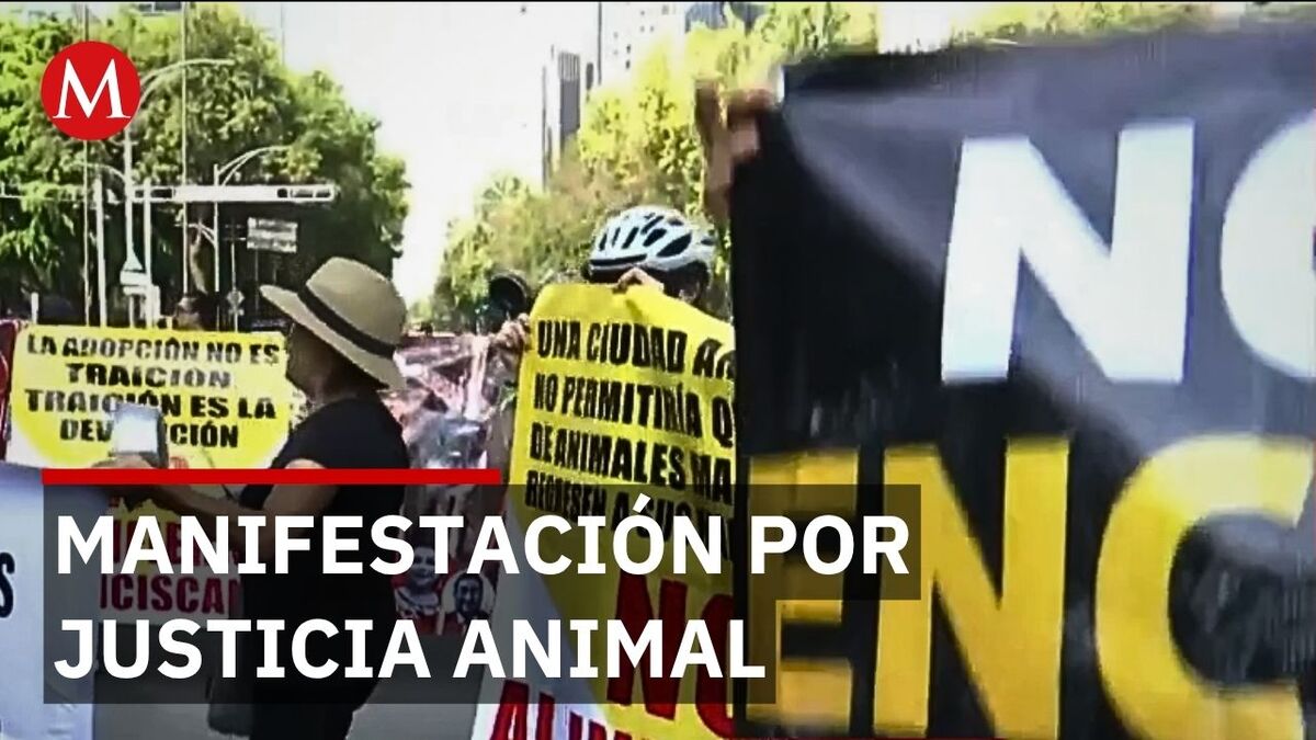 Defensores de animales protestan y exigen justicia para Refugio Franciscano