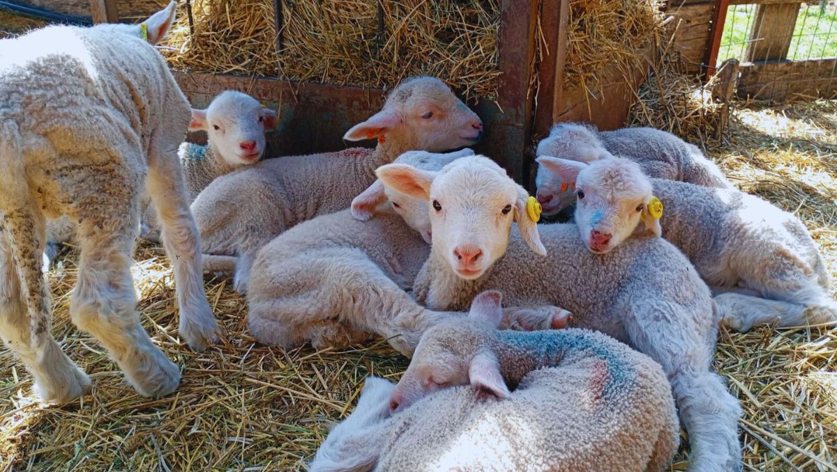 En el país se reportan más de mil 400 casos activos | Especial