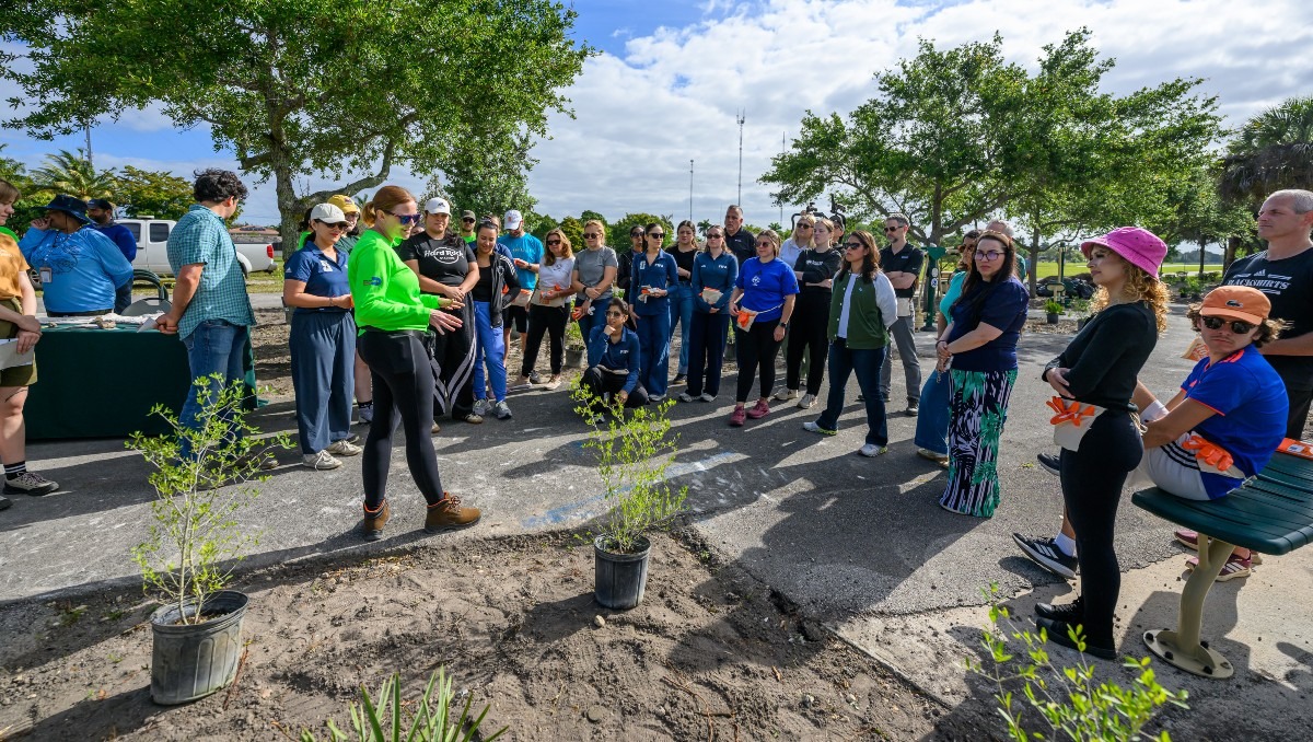 FIFA impulsa iniciativa de reforestación en ciudades sedes del Mundial 2026 (Cortesía)