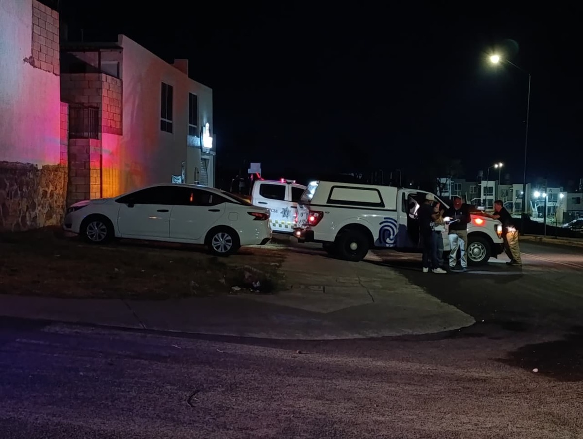 El hallazgo ocurrió en el fraccionamiento Cima Serena. (Vicente Torres)
