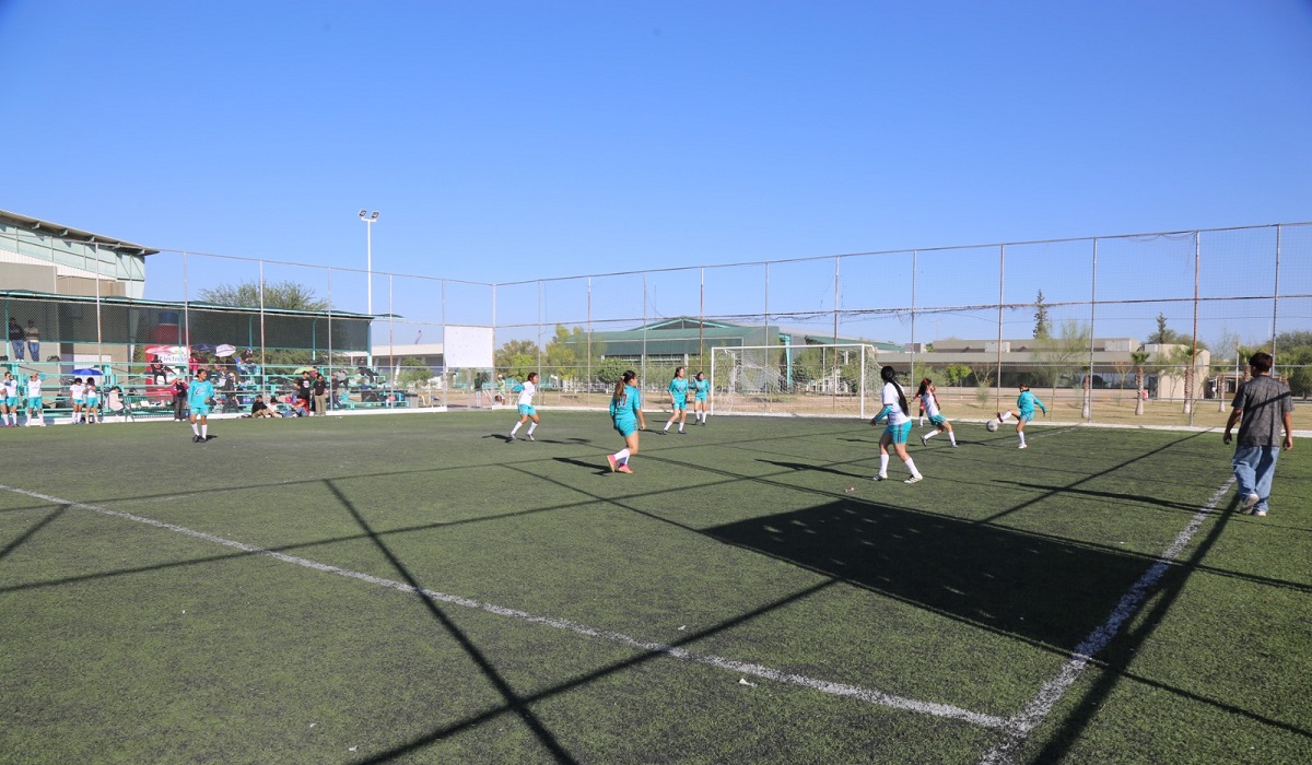 La beca va desde el 50 hasta el 100% de descuento en el primer cuatrimestre. (cortesía)