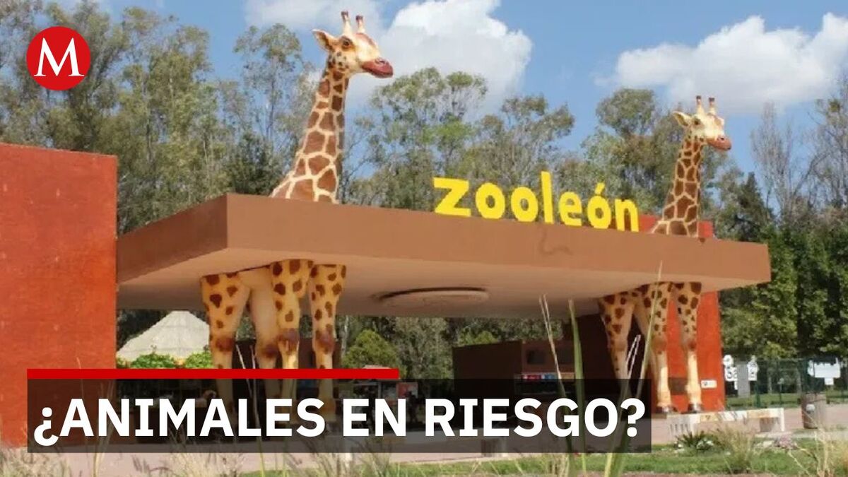Profepa ordena cierre del Zoológico de León tras muerte de animales