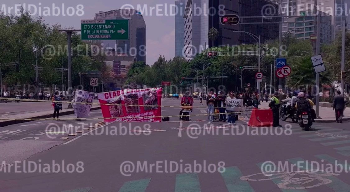 Protesta en Paseo de la Reforma. | Foto: Jorge Becerril
