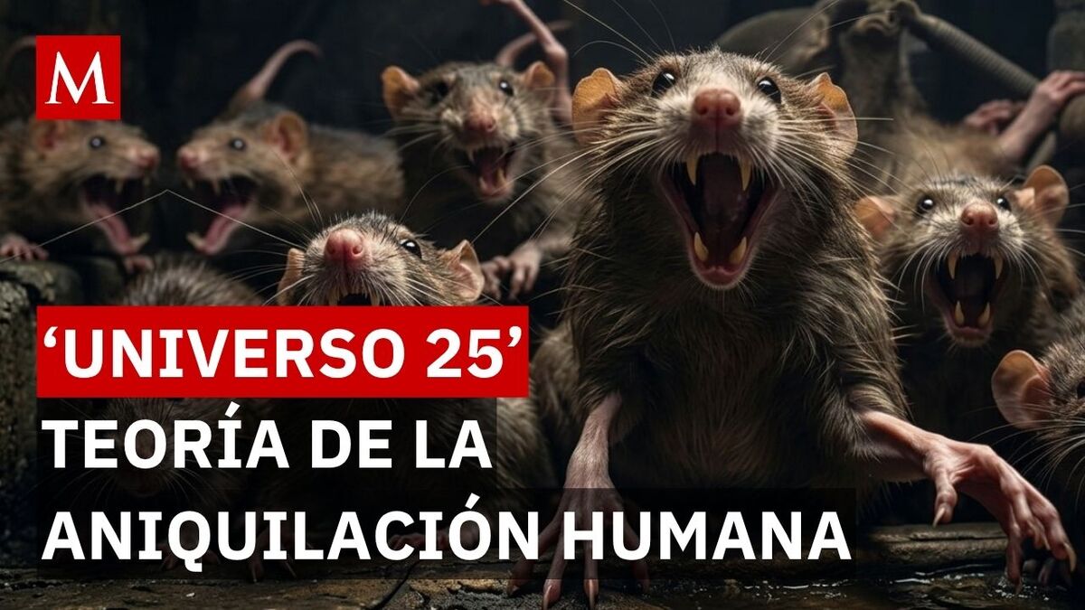 El oscuro secreto 'Universo 25', un experimento de superpoblación y abundancia condujeron a un colapso social entre ratones.