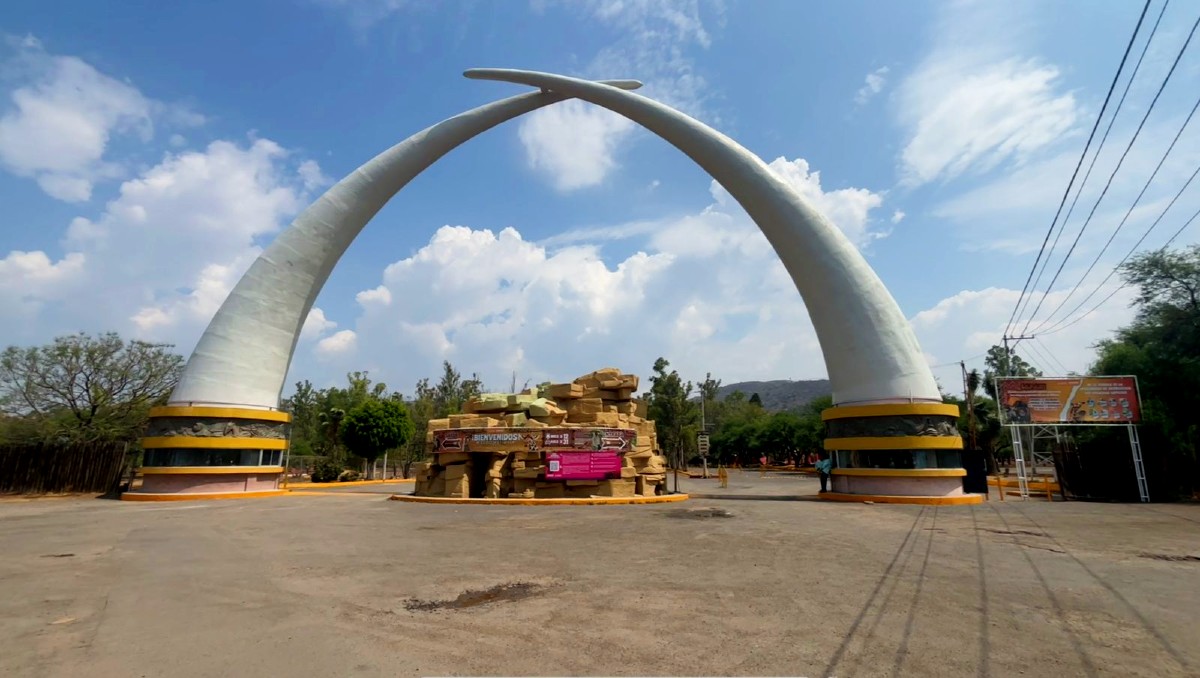 Zooleón: cierre indefinido toma por sorpresas a familias | Especial