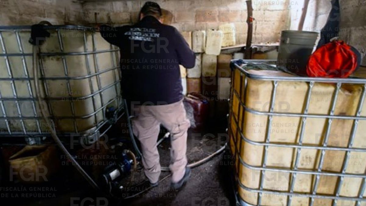 Autoridades federales aseguraron combustible presuntamente ilícito durante operativos en varios municipios de Veracruz. | Foto: Especial