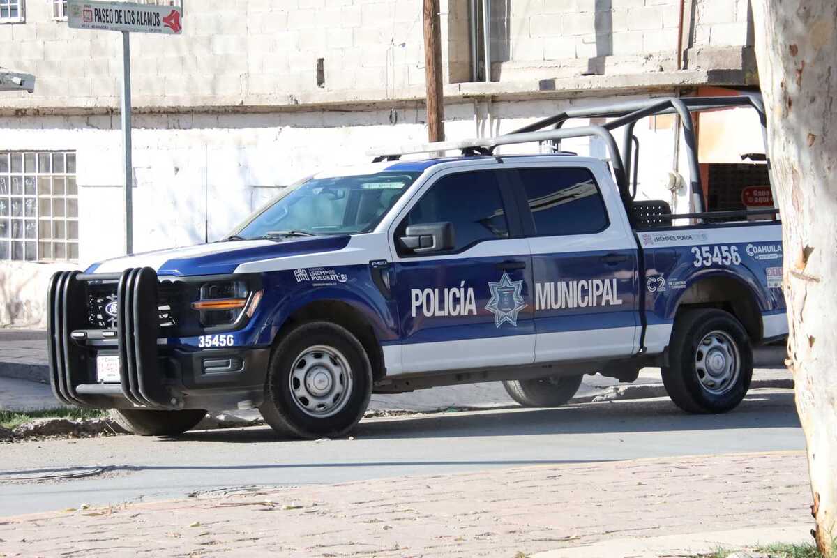 En comisión se dieron a conocer los progresos del SISUN en la formación de elementos municipales, destacando acciones para fortalecer sus capacidades.