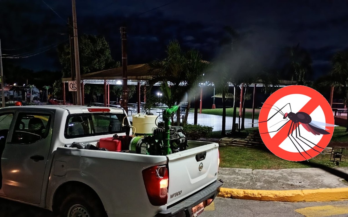 La solicitudes de fumigación de la ciudadanía han aumentado.| ESPECIAL