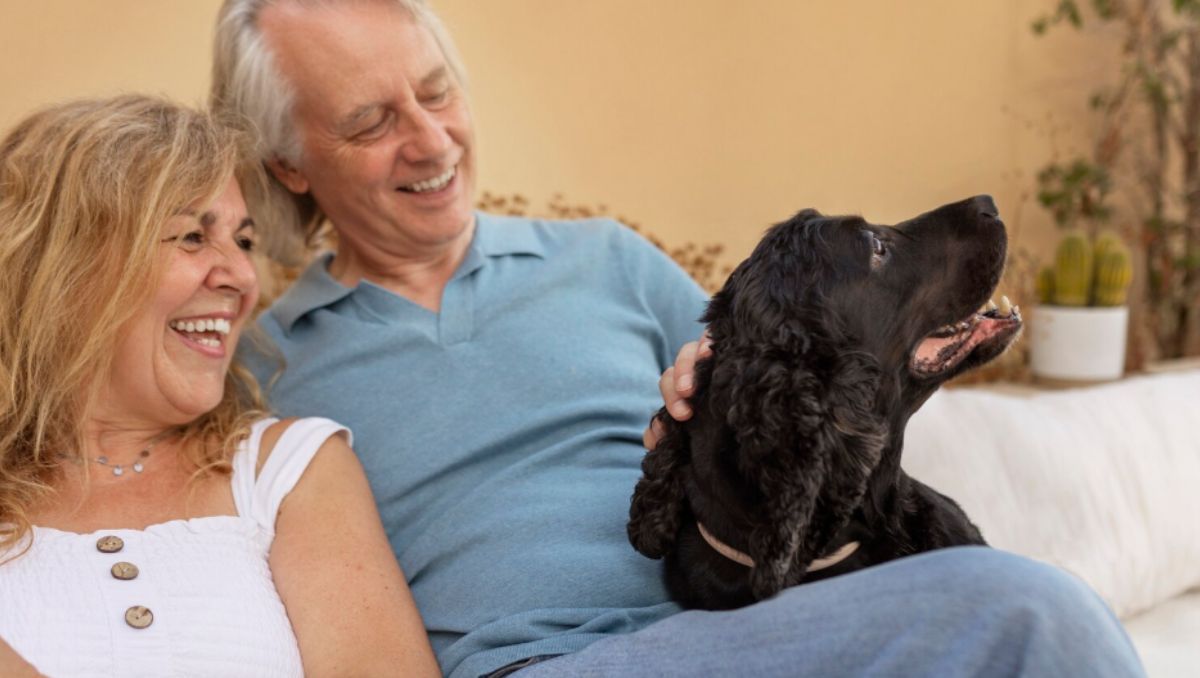 ¿Los perros nos hacen vivir más?  Los datos parecen demostrar que sí | Especial