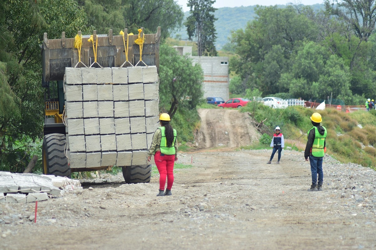 Reforestarán río Tula con 35 mil ahuehuetes